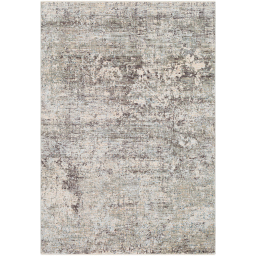 Surya Presidential PDT2303 Area Rug Carpet Mart