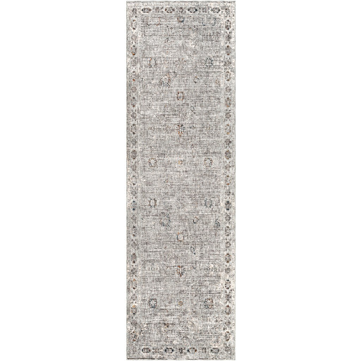 Surya Presidential PDT-2307 Runner Area Rug