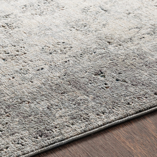 Surya Presidential PDT-2310 Area Rug Edge