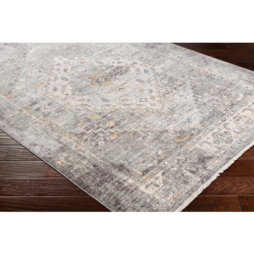 Surya Presidential PDT-2311 Area Rug on Angle
