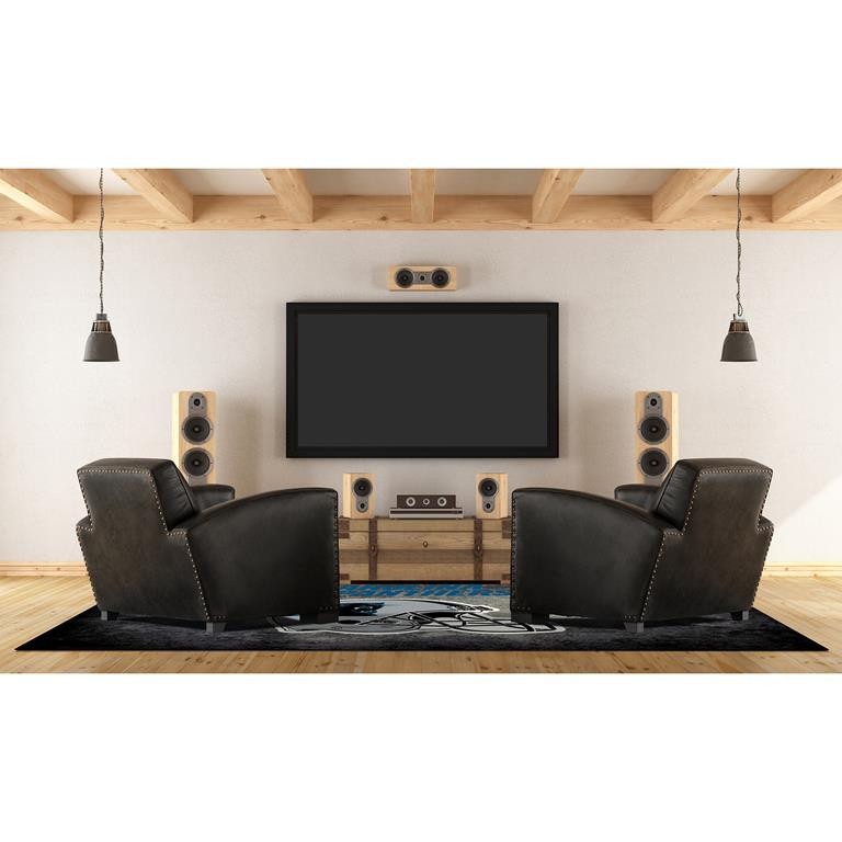 NFL Distressed Carolina Panthers Area Rug