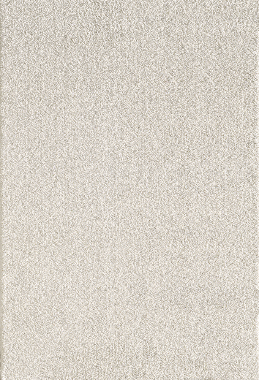 Dynamic Rugs Silky Shag 5900-100 Ivory Shag Area Rug