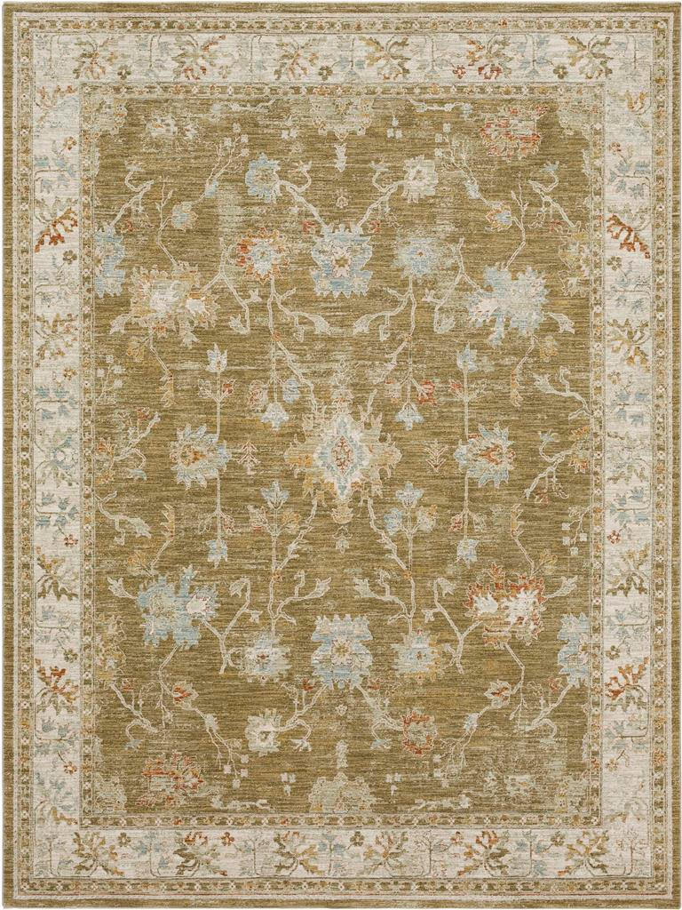 Karastan Adalia RG847-110 Iznik Brown Area Rug