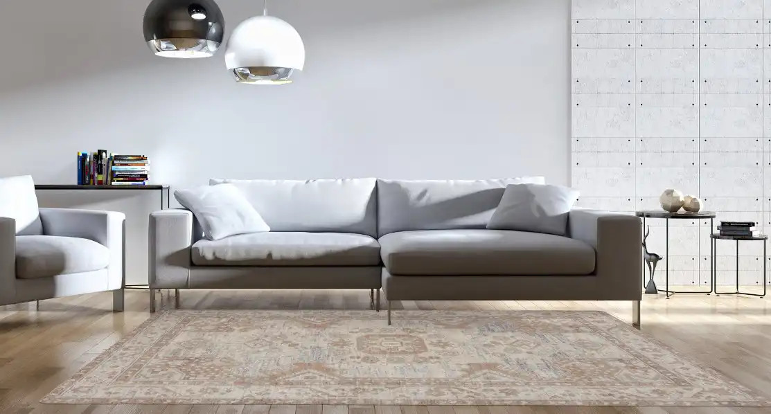 Carlisle CAR-01 Ivory Taupe Area Rug - Carpet & Tile Mart