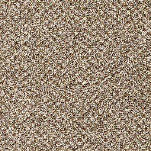 Karastan Striking View - Contempo Carpet