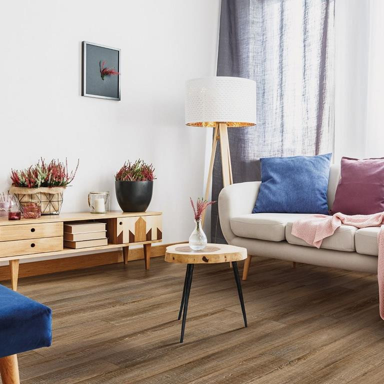 COREtec One Plus VV585 50005 Laguna Beach 6