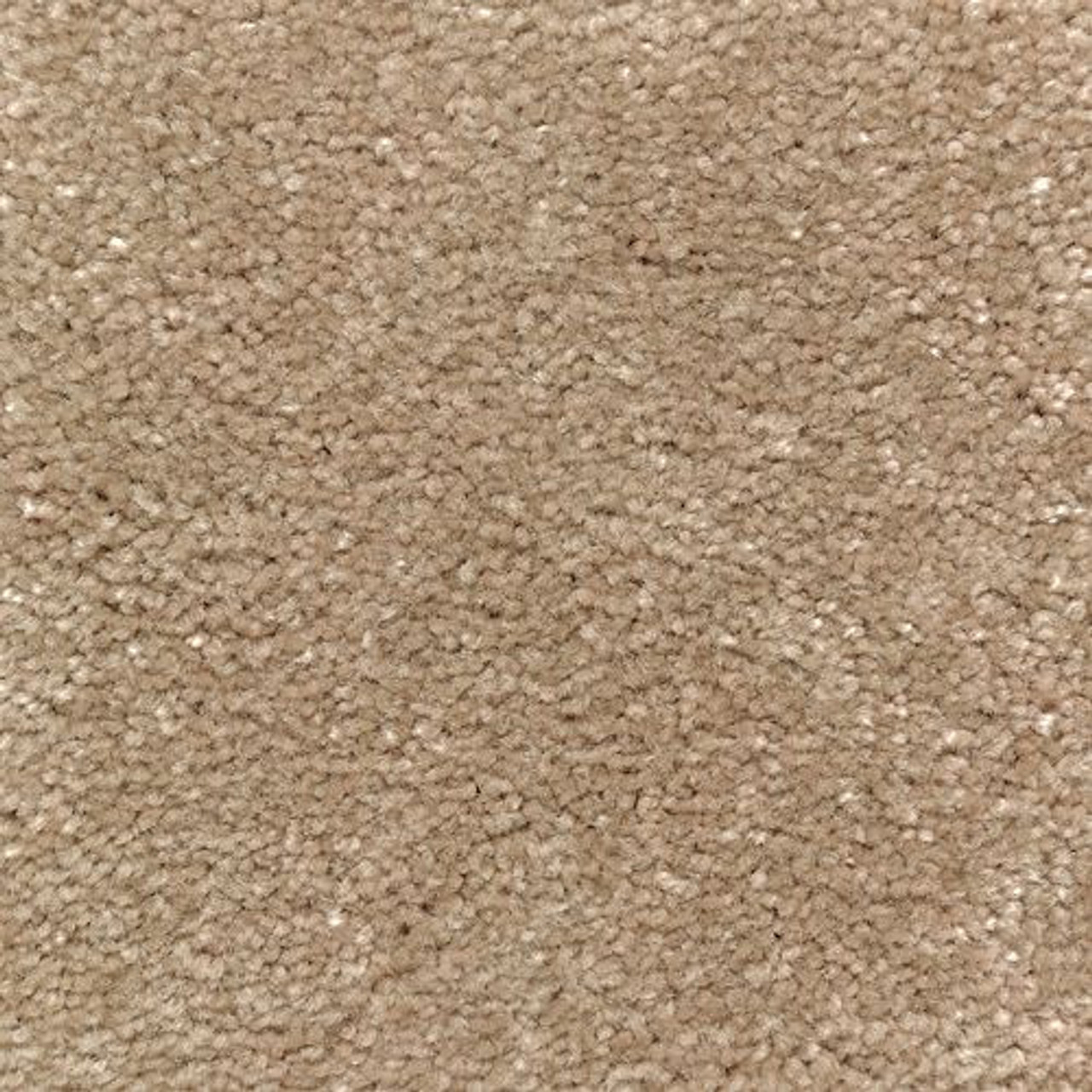 Mohawk Homefront I Spiced Tea Carpet Carpet & Tile Mart