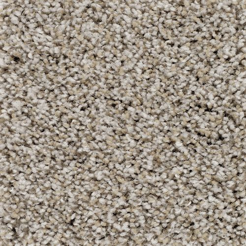 Mohawk Natural Decor I - First Frost Carpet - Carpet & Tile Mart