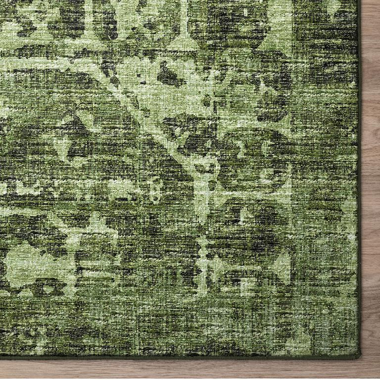 Dalyn Aberdeen AB2 Cactus Area Rug Corner