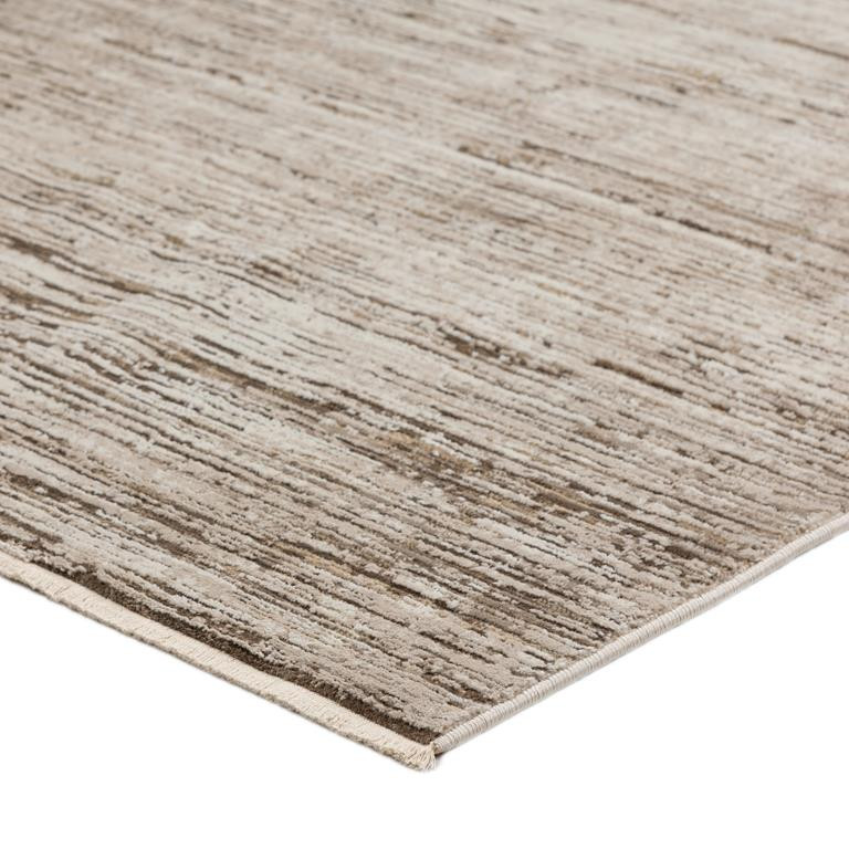 Dalyn Denizi DZ1 Mocha Area Rug - Carpet & Tile Mart