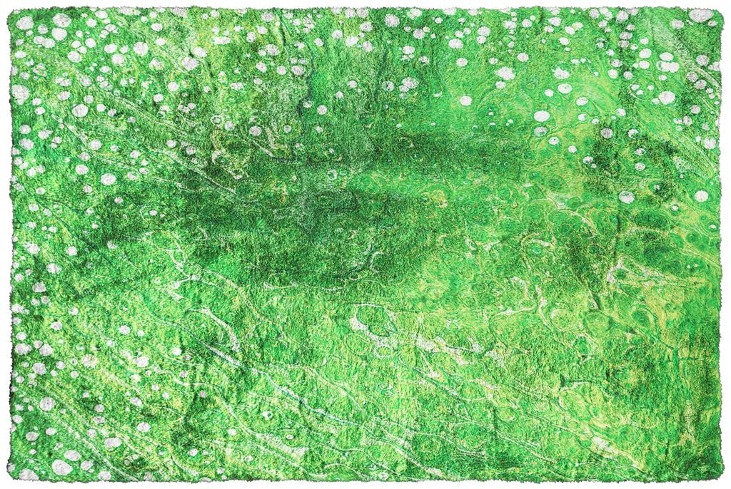 Dalyn Kikiamo KK5 Lime-In Area Rug - Carpet & Tile Mart