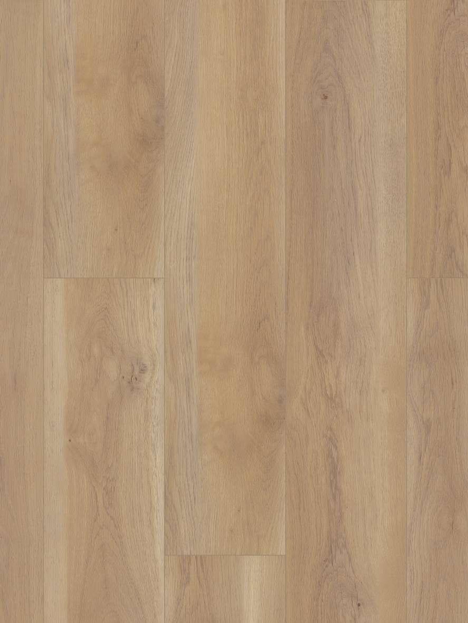 【WONDER WONDER】Veron Frill Color Nylon Wide Two-Way PT Paragon Hd+Natural Bevel - in Wisteria | Shaw Floors