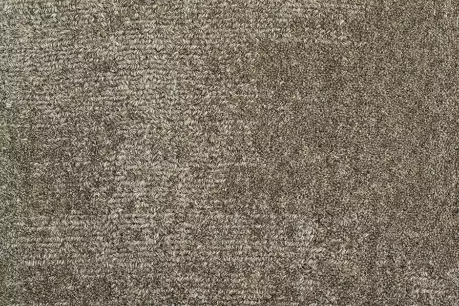 【BRUNT】Heaven and Earth TAN Stanton Heaven Earth Area Rug - Carpet & Tile Mart