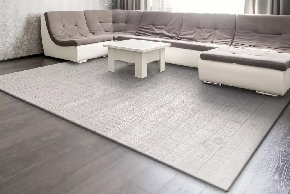 Dynamic Rugs Whistler 7125-190 Ivory Grey Area Rug | Carpetmart