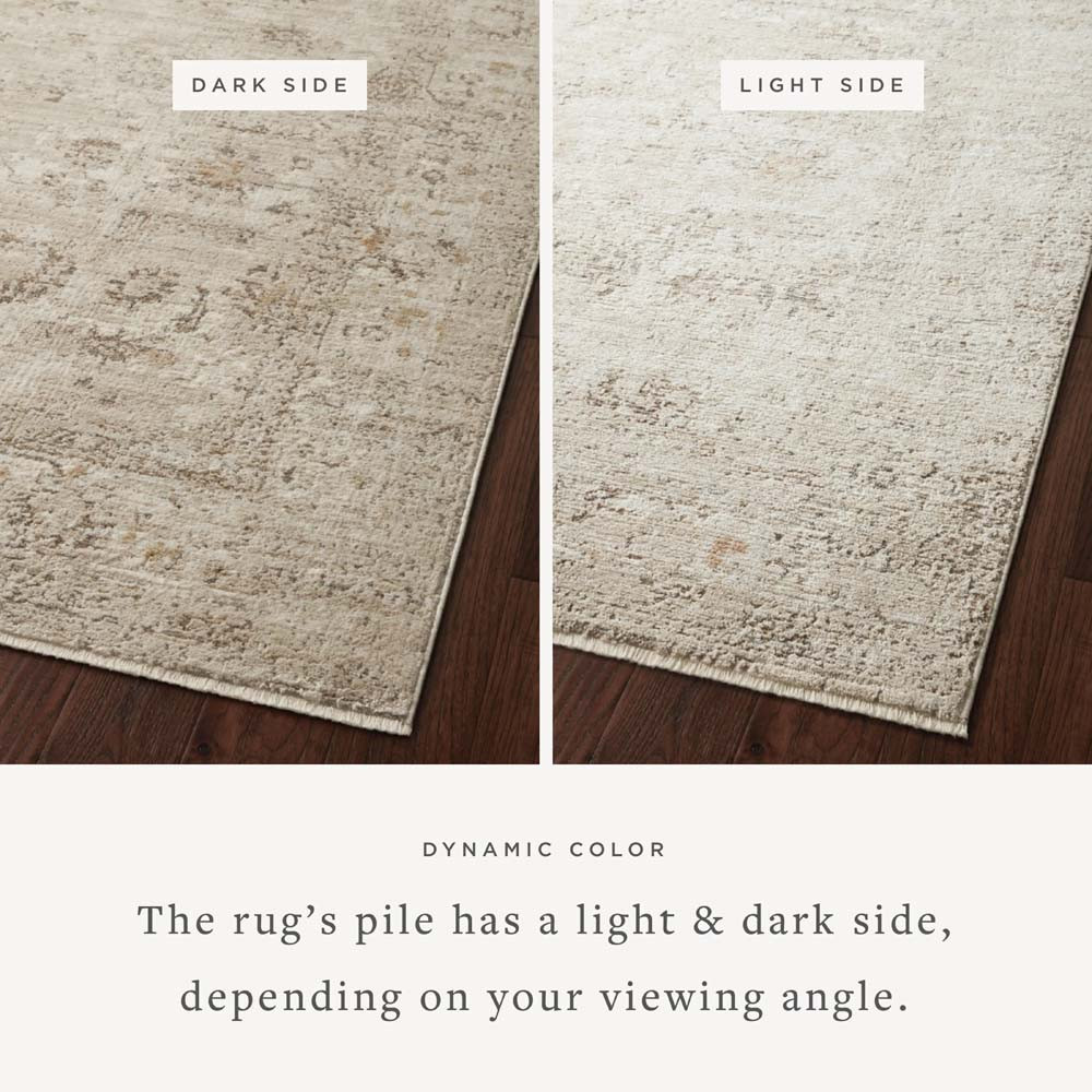 Loloi Sonnet SNN-01 Sand Taupe Area Rug Dynamic