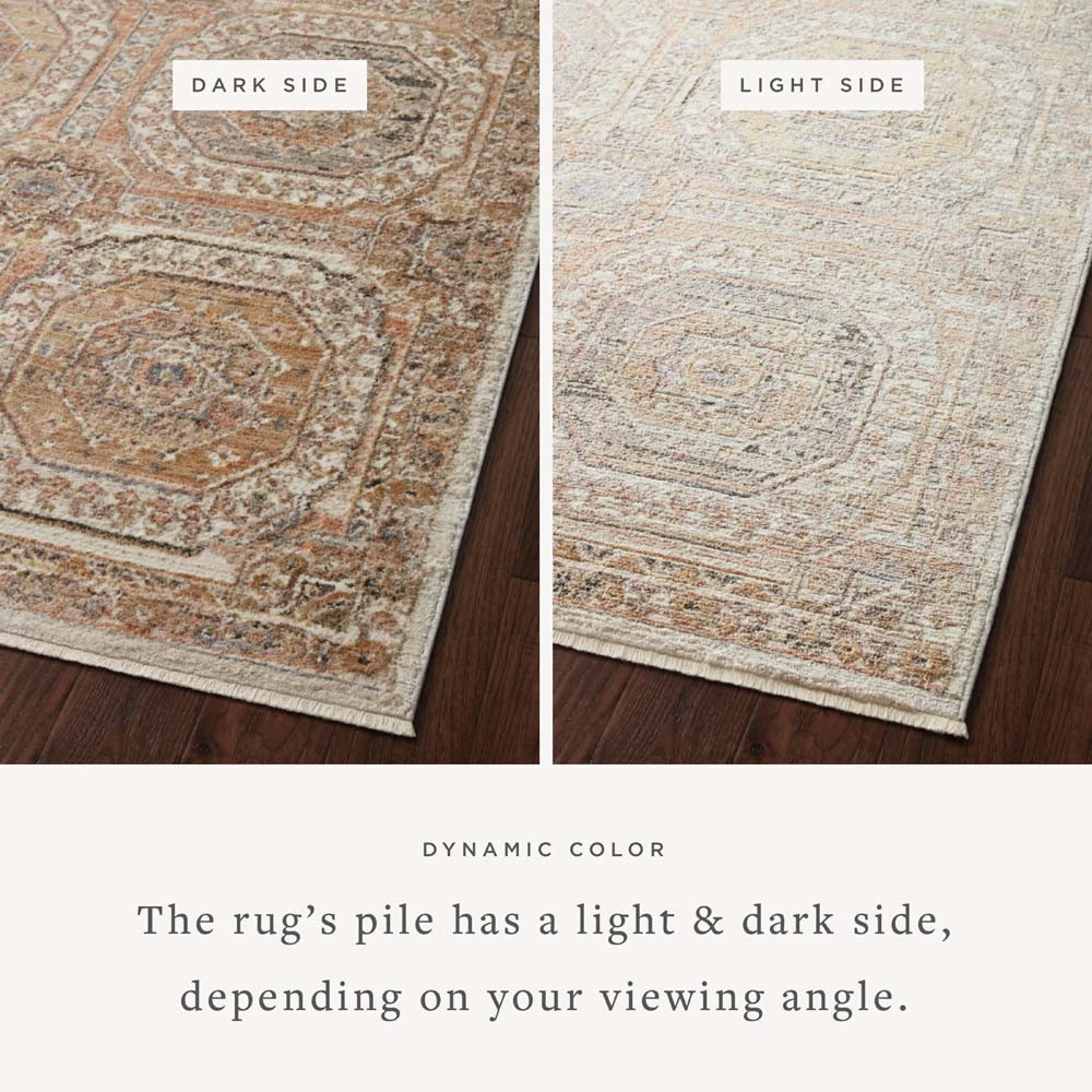 Loloi Sonnet SNN-06 Apricot Multi Area Rug Dynamic