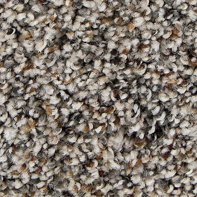 Mohawk Ideal Harmony Foxtail Carpet - Carpet & Tile Mart