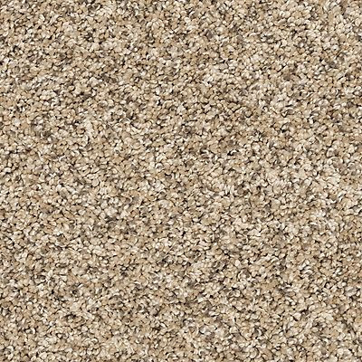 Mohawk Bon A Pet Treat II Bisque Carpet - Carpet & Tile Mart