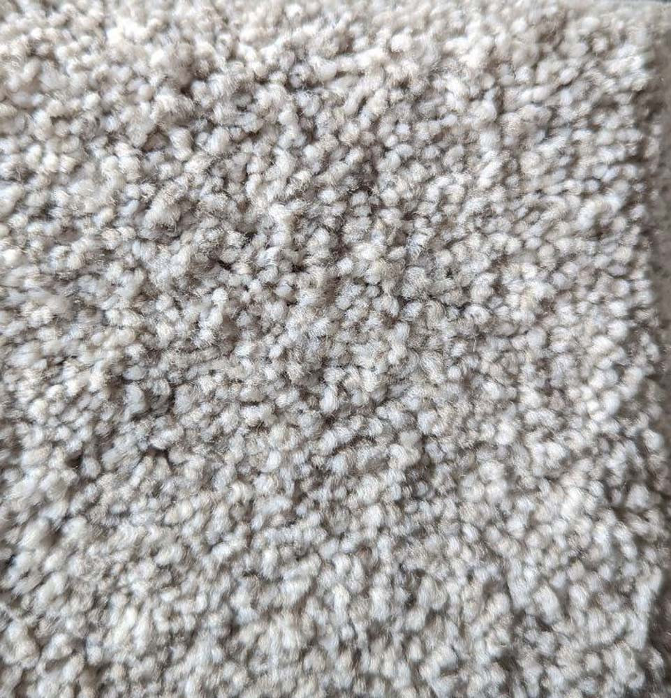 Dreamweaver Crown Garden II - Essence Carpet | Carpetmart.com