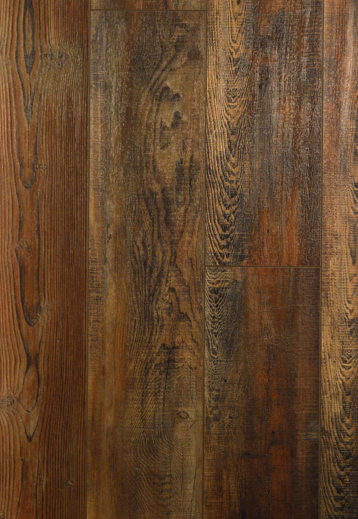 Shaw Pantheon HD Plus 2001V 00794 Orso 7