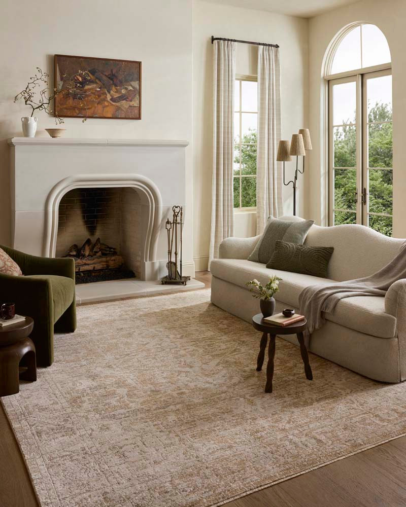 Loloi II Clarisse CLS-03 Taupe Dove Area Rug Room Scene