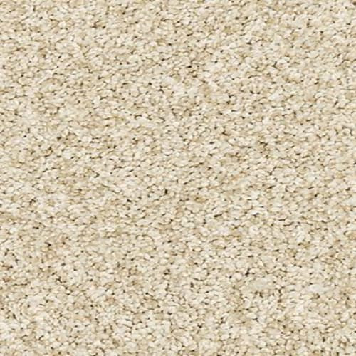 Mohawk Bon A Pet Treat II - Frosted Almond Carpet Swatch