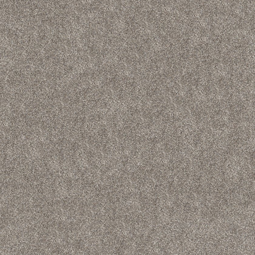 Shaw Grand Outlook - Mission Ridge Carpet Swatch