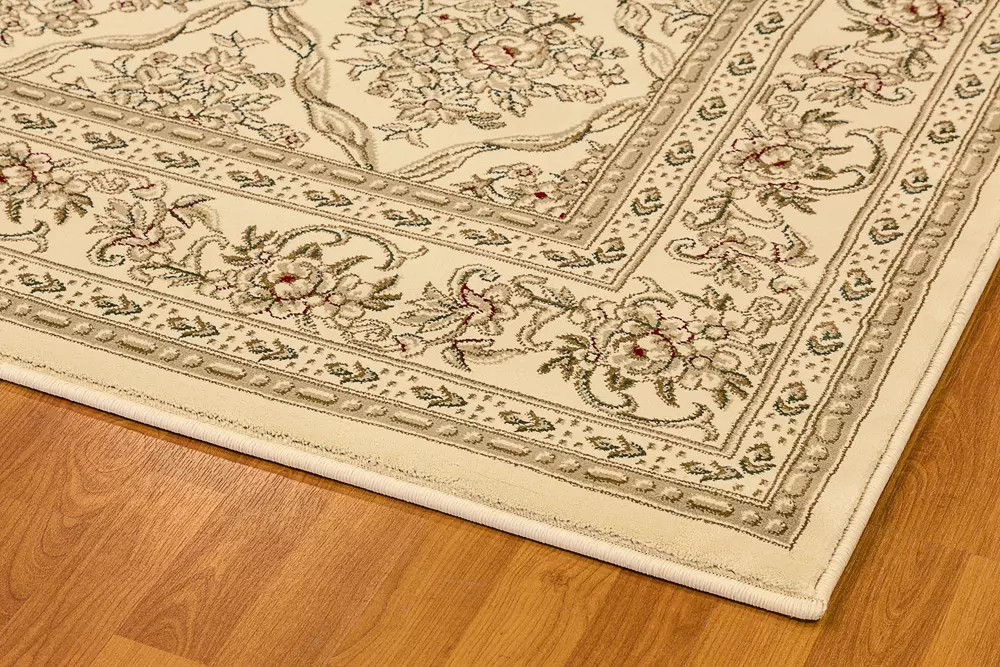 Legacy 58018-100 Ivory Area Rug by Dynamic Rugs Corner