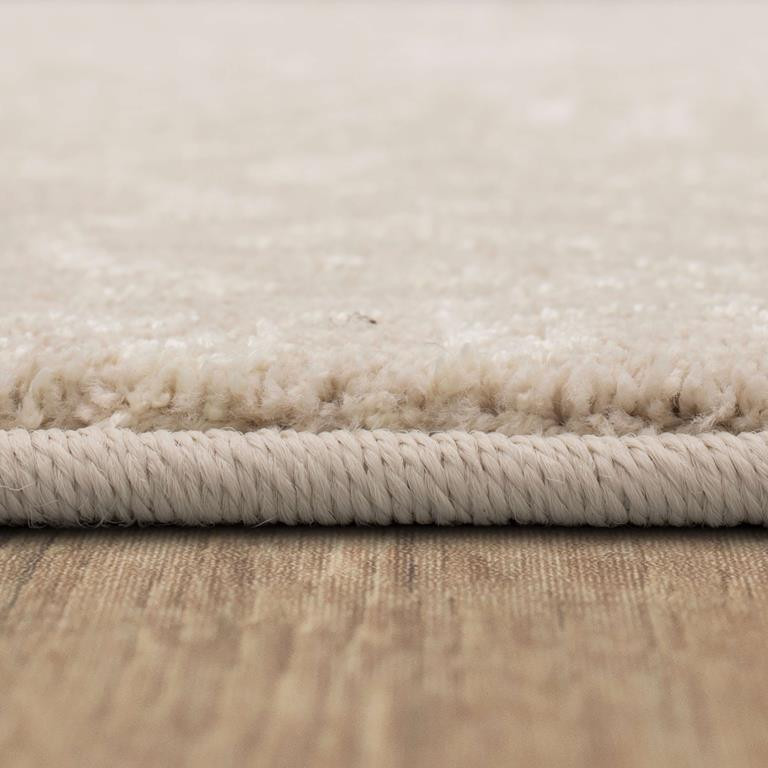 Karastan Enigma 90967-70040 Spectral Alabaster Area Rug Pile