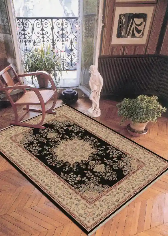 Dynamic Rugs Brilliant 7201-090 Black Area Rug Room Scene