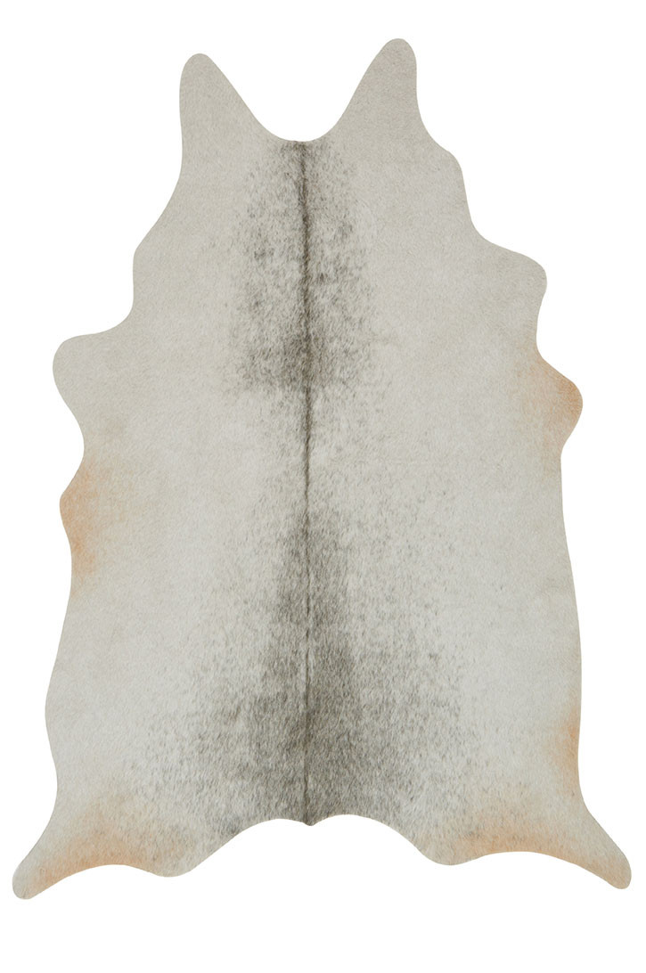 Loloi II Grand Canyon GC-15 Silver/Grey Area Rug