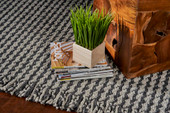 Kas Maui 1341 Grey Houndstooth Area Rug Lifestyle Room Scene Kas Maui 1341 Grey Houndstooth Area Rug Lifestyle Room Scene
