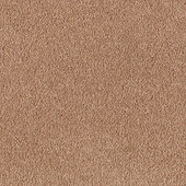 Karastan Imperial Plaza - Apple Cider Carpet Karastan Imperial Plaza - Apple Cider Carpet