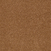 Karastan Imperial Plaza Golden Brown Carpet