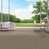 Surfside Driftwood Indoor-Outdoor Carpet Room scene