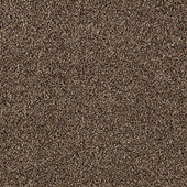 Karastan Upscale Living - Pinecone Carpet Karastan Upscale Living - Pinecone Carpet