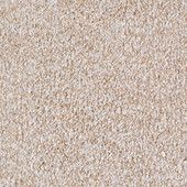Karastan Serene Scene - Soft Whisper Carpet Karastan Serene Scene - Soft Whisper Carpet