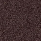 Karastan Adrenaline - Intrigue Carpet Karastan Adrenaline - Intrigue Carpet