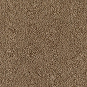 Karastan Indescribable - Earth Friendly Carpet