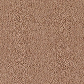 Karastan Indescribable - Warm Neutral Carpet