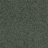 Karastan Simply Spectacular - Lacey Moss Carpet Karastan Simply Spectacular - Lacey Moss Carpet