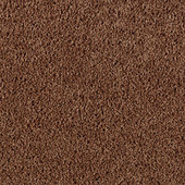 Karastan Simply Spectacular - Cigar Leaf Carpet Karastan Simply Spectacular - Cigar Leaf Carpet