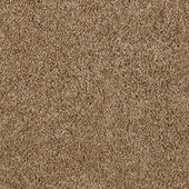 Karastan Enhanced Beauty - Autumn Leaves Carpet