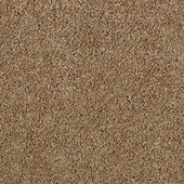 Karastan Enhanced Beauty - Amber Canyon Carpet Karastan Enhanced Beauty - Amber Canyon Carpet