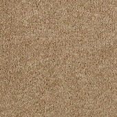 Karastan Delicate Finesse - Equestrian Carpet