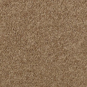 Karastan Delicate Finesse - Crunch Granola Carpet Karastan Delicate Finesse - Crunch Granola Carpet