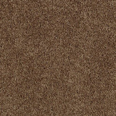 Karastan Delicate Finesse - Colonial Carpet Karastan Delicate Finesse - Colonial Carpet
