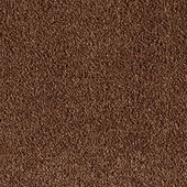 Karastan Retro Reprise - Surprisingly Plush Carpet Karastan Retro Reprise - Surprisingly Plush Carpet