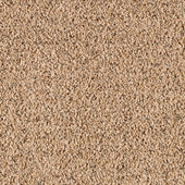 Karastan Stunning Design - Golden Glow Carpet Karastan Stunning Design - Golden Glow Carpet