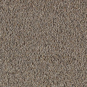 Karastan Stunning Design - Silhouette Carpet Karastan Stunning Design - Silhouette Carpet
